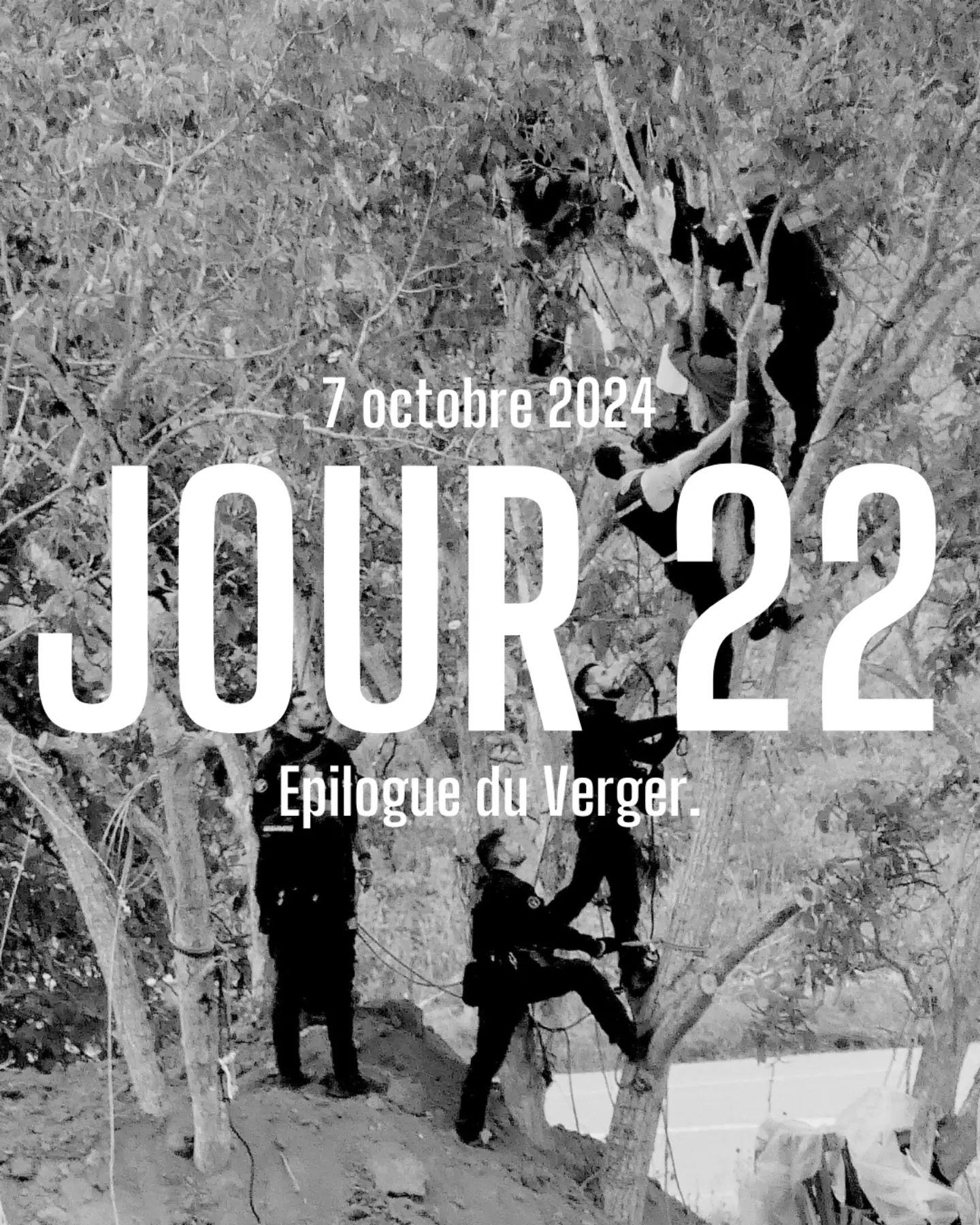 Photo gendarmes qui montent dans l'arbre sans équipement pour déloger des militantes