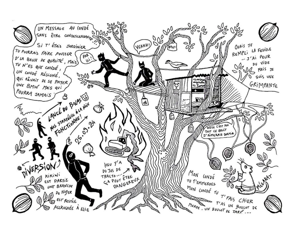 Dessin des écureuilles dans les arbres, et des personnes au sol qui lancent des bolas pour tenter de les ravitailler